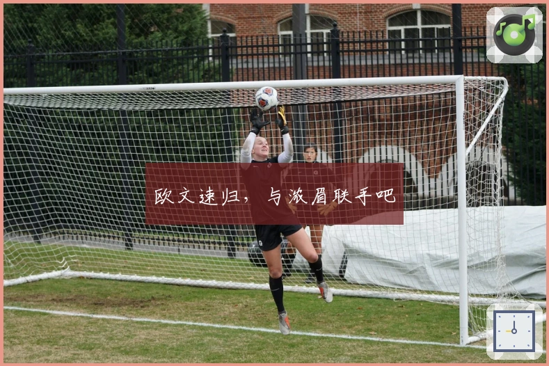 欧文速归,与浓眉联手吧