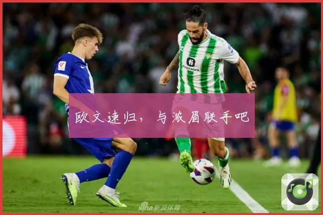 欧文速归，与浓眉联手吧